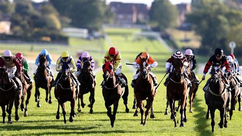 Leicester Tips, Racecards And Results Today .